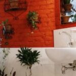 5 Best Houseplants to Transform Your Bathroom Space