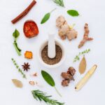 What is the Science Behind Plant and Human Interactions