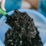 10 Best Potting Soil for 2023